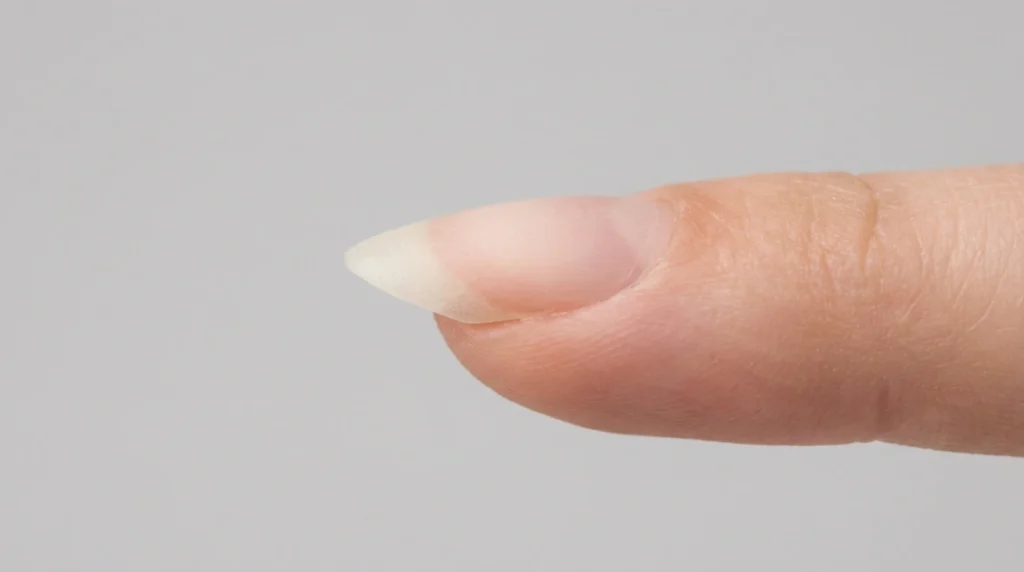 Side profile of a bare short almond nail shape showing the tapered tip